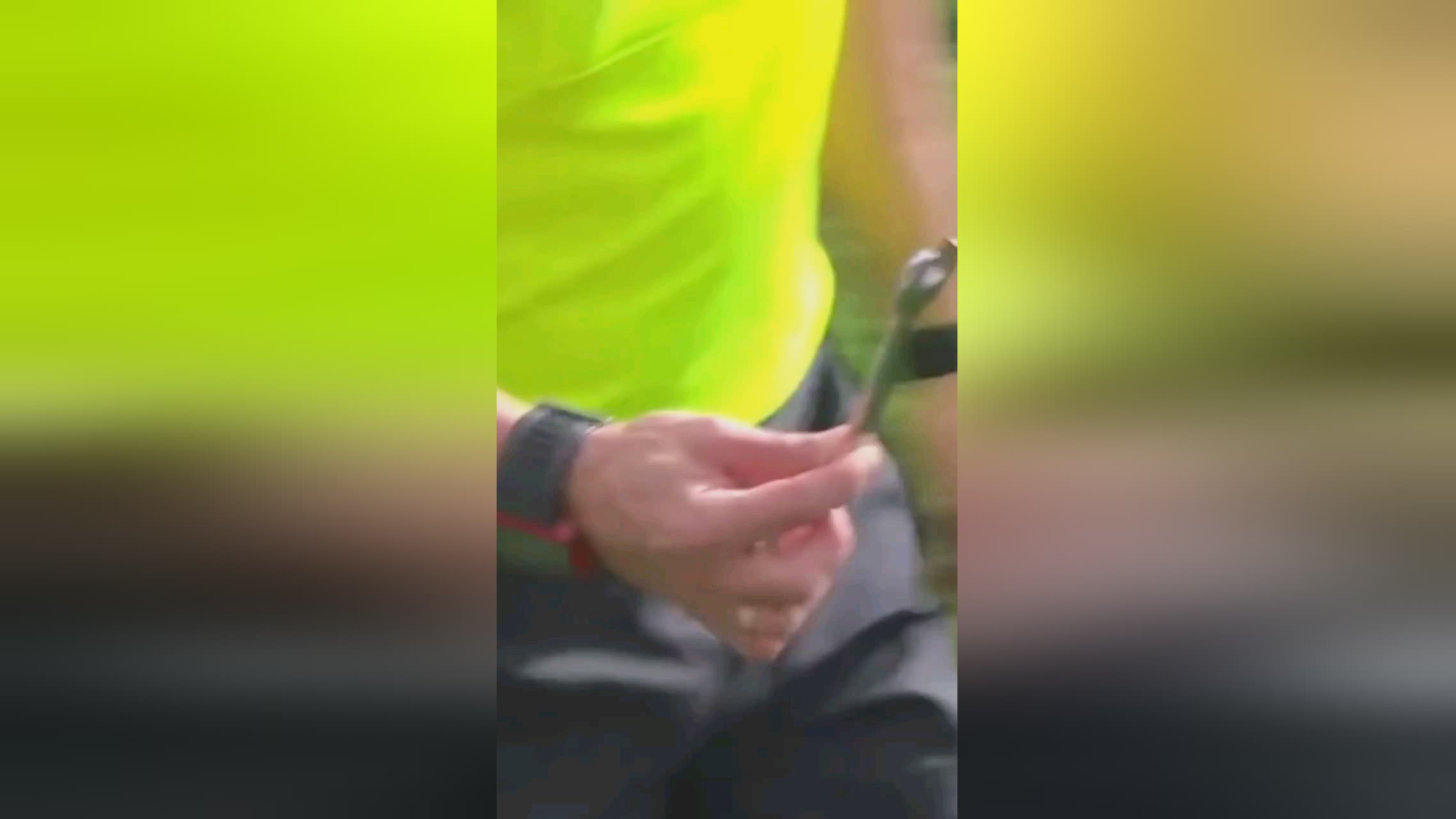 螺杆